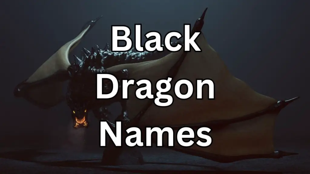 575+ Black Dragon Names (Powerful, Unique, Cool, and more!)
